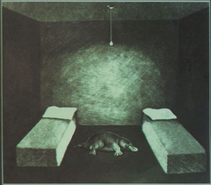File:1984 Angela Greene Platypus Room.jpg